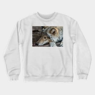 Taking Life Easy Crewneck Sweatshirt